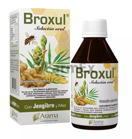 BROXUL JENGIBRE/MIEL JBE X 120 ML ARAMA