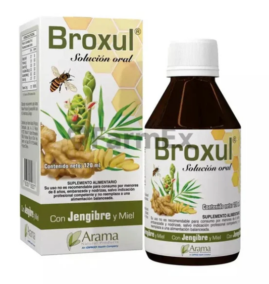 BROXUL JENGIBRE/MIEL JBE X 120 ML ARAMA