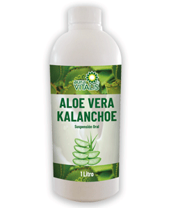 Aloe Vera Gel con Kalanchoe x 1 Lt — Aura Vitalis